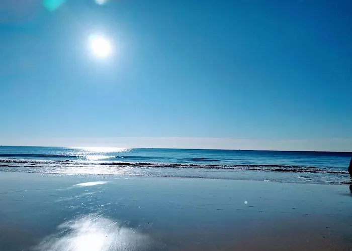 Sweet Estrela Do Vau 232