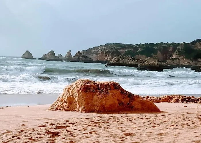 Sweet Estrela Do Vau 232